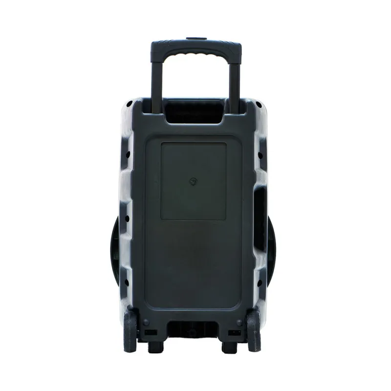 Аудиосистема Manta SPK 5033